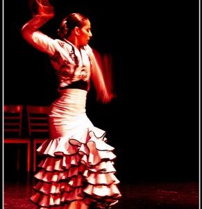 flamenco_l