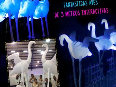 flamingus