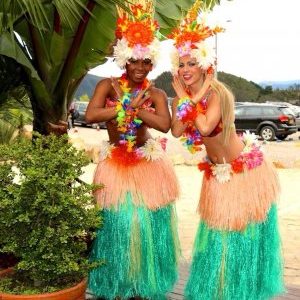 hawaii.1_l