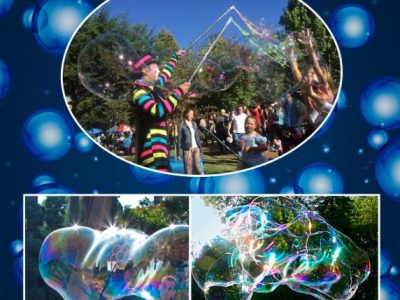 megabubble flywe web