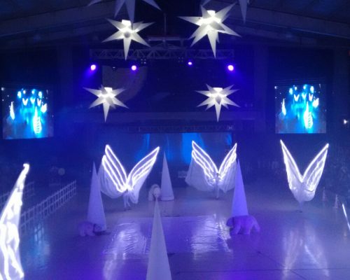 ANGELES DE LUZ (6)