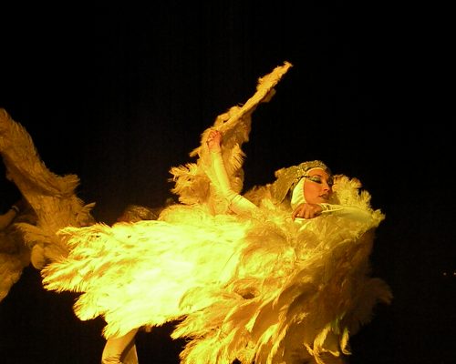 ANGELES PLUMA (2)
