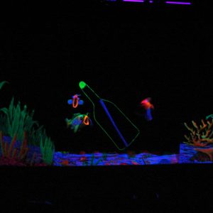 AQUALIA (1)