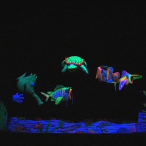AQUALIA (2)