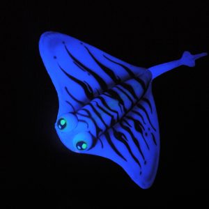 AQUALIA (8)