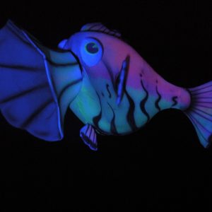 AQUALIA (9)