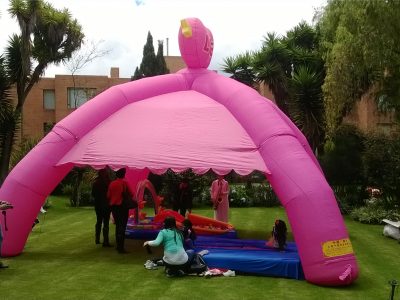 CARPA ROSADA (1)