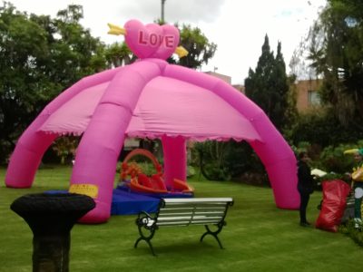CARPA ROSADA (2)