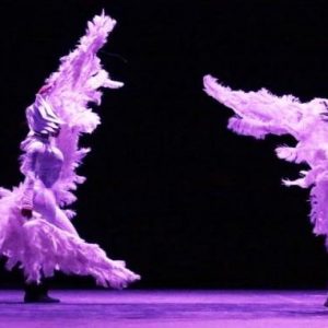 CIRCODELIA (3)