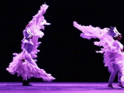 CIRCODELIA (3)