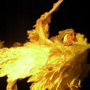 CIRCODELIA (8)