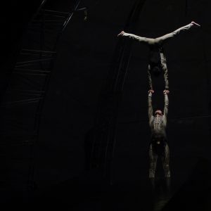 COSMOS (12)