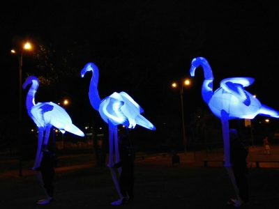 FLAMINGUS (1)