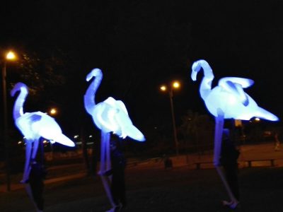 FLAMINGUS (2)
