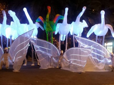 FLAMINGUS DIA (2)