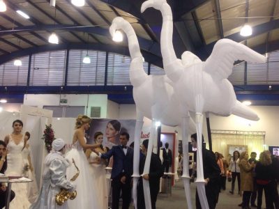 FLAMINGUS DIA (3)