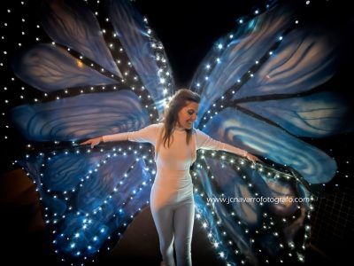 MARIPOSAS (2)