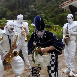 SAXOS (3)