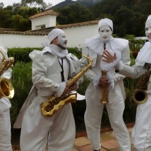 SAXOS (4)