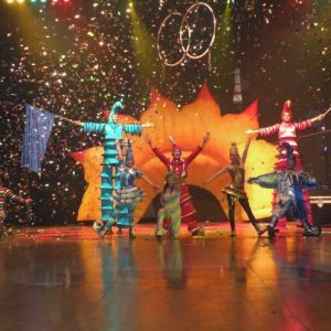 circodelia Catalogo